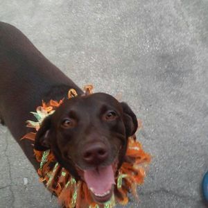 Meet your Posher, Ted